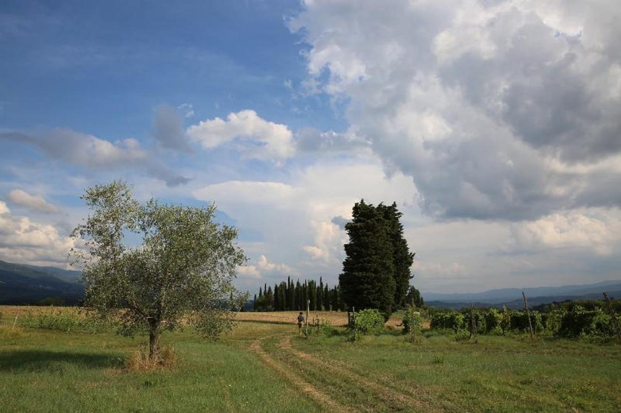 Villa Francesca Rignano Sull Arno Exterior photo